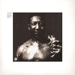 Muddy Waters – After The...