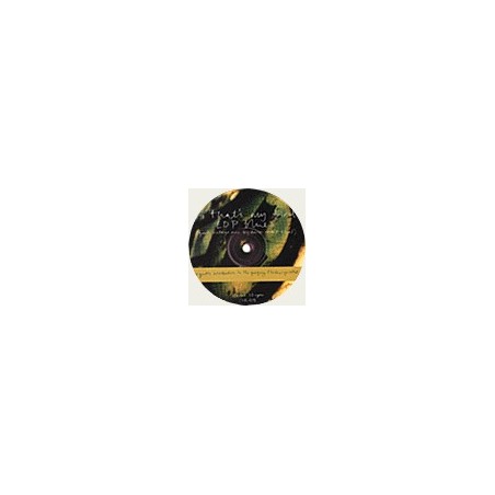 Gregory Fleckner Quintet – A Gentle Introduction To The GFQ|1995    Clear – CLR 418