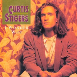 Curtis Stigers – I Wonder...