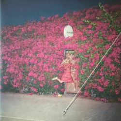 Feist – Pleasure |2017...