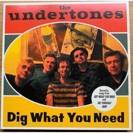 The Undertones – Dig What You Need |2022	Dimple Discs – Dee Dee LP 003