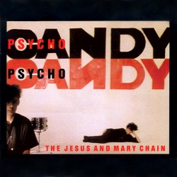 The Jesus And Mary Chain –...