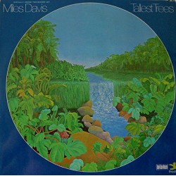 Miles Davis – Tallest Trees...