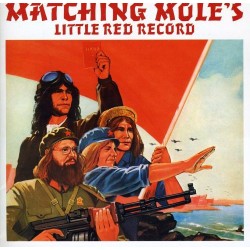 Matching Mole – Matching...