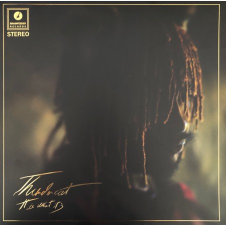 Thundercat – It Is What It Is |2020	Brainfeeder – BF100X, Brainfeeder – BF100 -clear Vinyl