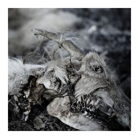 Aphonic Threnody – When Death Comes |2015   	Doomentia Records – DOOM154LP1-Limited Edition