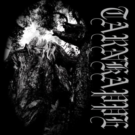 Tarnkappe – Tussen Hun En De Zon|2014	Hammerheart Records – HHR2014-32