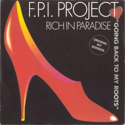 F.P.I. Project  – Rich In...