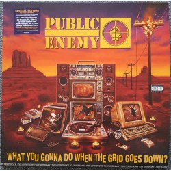 Public Enemy – What You...