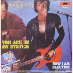 The System – You Are In My...