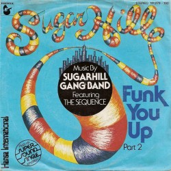 Sugarhill Gang Band...