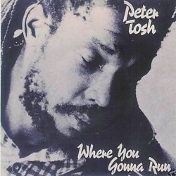 Peter Tosh – Where You...