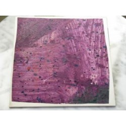 Ohmnibus ‎– Ohmnibus I...