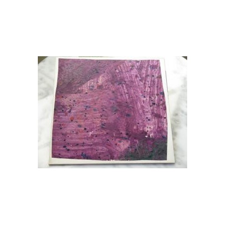 Ohmnibus ‎– Ohmnibus I |1991     Ohmnibus Records ‎– 150 224-1-Limited Edition