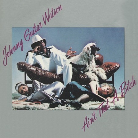Johnny Guitar Watson – Ain't That A Bitch  |1979 	DJM Records   – 0064.206