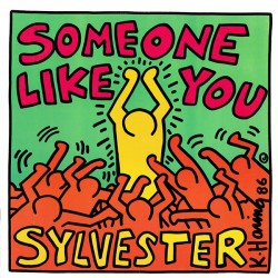 Sylvester – Someone Like...