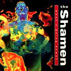 The Shamen ‎– What's Going...