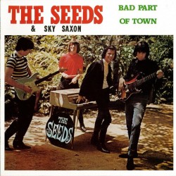 The Seeds & Sky Saxon – Bad...