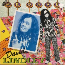 David Lindley – Mr. Dave...