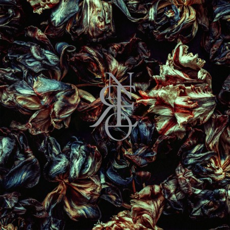Crone   – Gotta Light? |2022	Prophecy Productions – PRO 334 LP