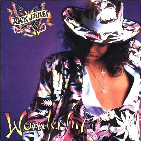 Rick James – Wonderful   |1988	Reprise Records – 9 25659-1