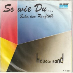 Hejogo Band ‎– So Wie Du |...