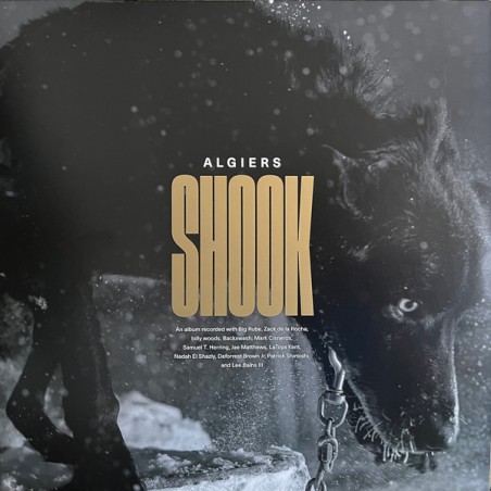 Algiers – Shook  |2023  	Matador – OLE1784LP -Lim. Edition-gold Vinyl