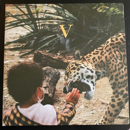 Unknown Mortal Orchestra – V |2023	Jagjaguwar – JAG422