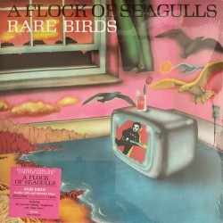 A Flock Of Seagulls – Rare...