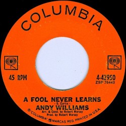 Andy Williams – A Fool...