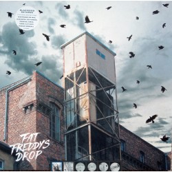 Fat Freddy's Drop –...