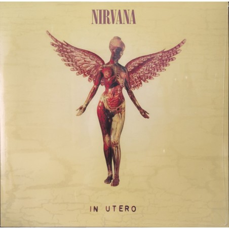 Nirvana – In Utero  |1993/2015	Geffen Records – 0720642453612