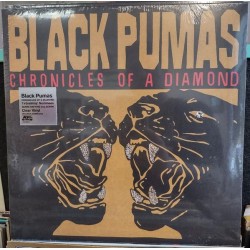 Black Pumas – Chronicles Of...
