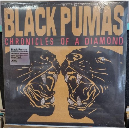 Black Pumas – Chronicles Of A Diamond   |2023	ATO Records – ATO0654 -Clear