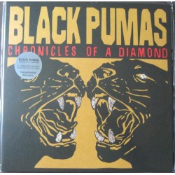 Black Pumas – Chronicles Of...
