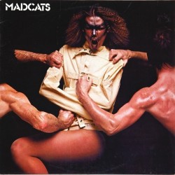 Madcats ‎– Madcats|1979     Buddah Records ‎– 6.23869