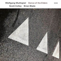 Wolfgang Muthspiel -Dance...