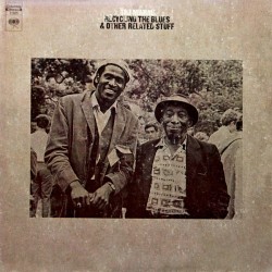 Taj Mahal – Recycling The...