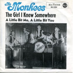 The Monkees – The Girl I...