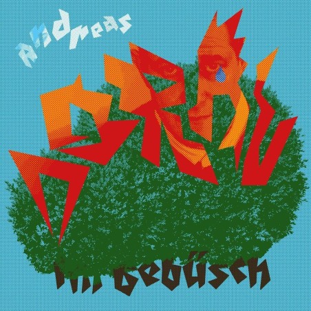 Andreas Dorau – Im Gebüsch|2024    Tapete Records – TR555