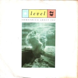 Level 42 – Something About...