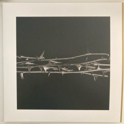 Amenra – De Doorn   |2021...