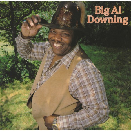 Big Al Downing – Big Al Downing    |1982	Team Entertainment Records – TRA-2001