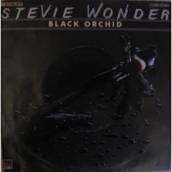Stevie Wonder – Black...