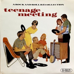 Various – Teenage Meeting...