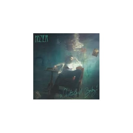 Hozier – Wasteland, Baby! |2019/2024	 Island Records – 774127-1