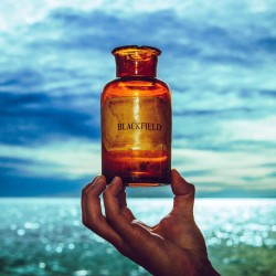 Blackfield –V |2017	Kscope...