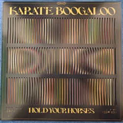 Karate Boogaloo – Hold Your...