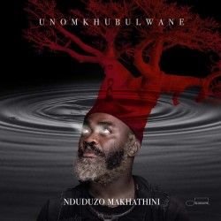 Nduduzo Makhathini –...