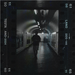TESTA-Lano|2024  9120017267867